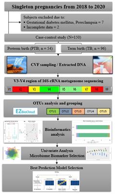 Predicting preterm birth through vaginal microbiota, cervical length, and WBC using a machine learning model